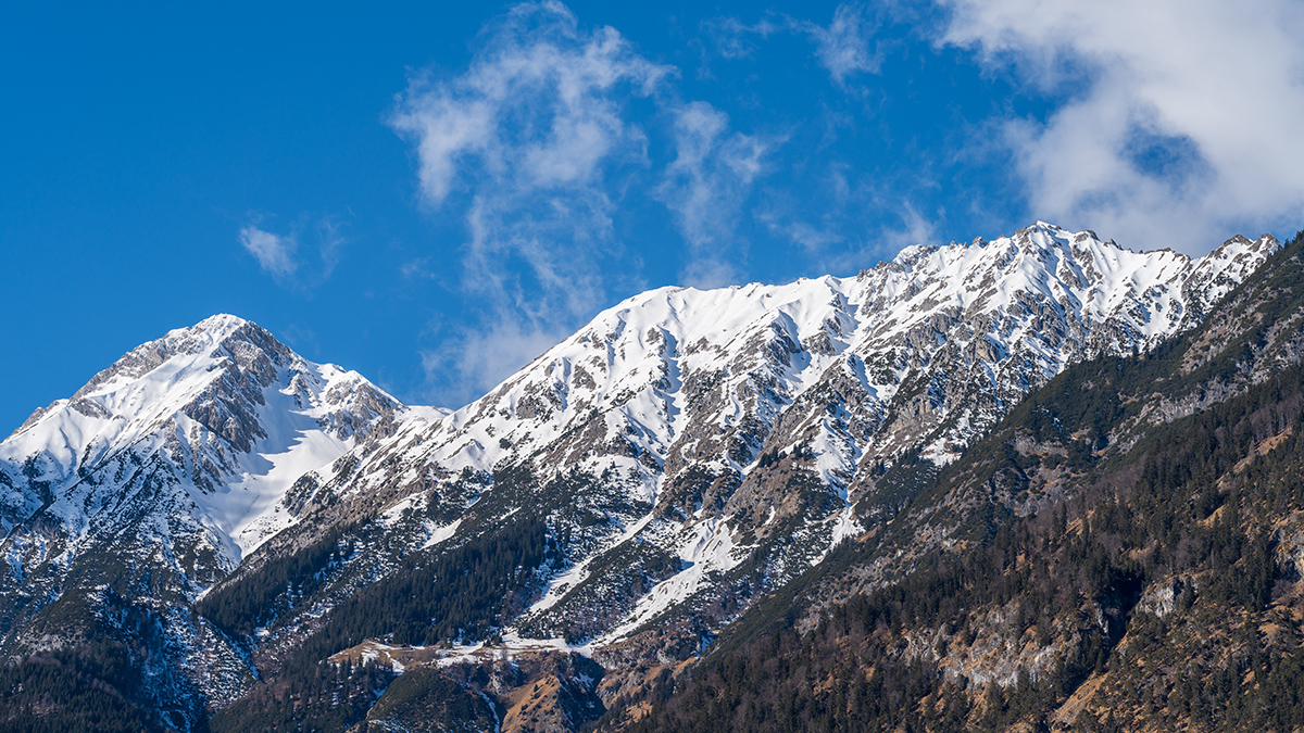20220130_NZ7_2415wNF.jpg