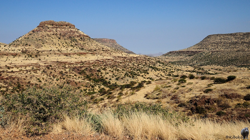 Berglandschaft mit trockenem Gras und vereinzelten Büschen bewachseneBergen mit einem engen Tal.