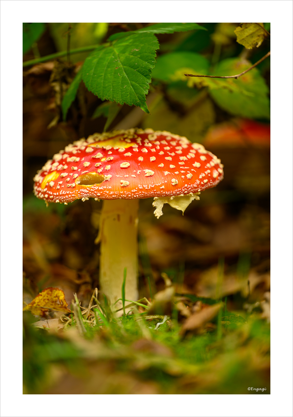 DSC_9206.jpg