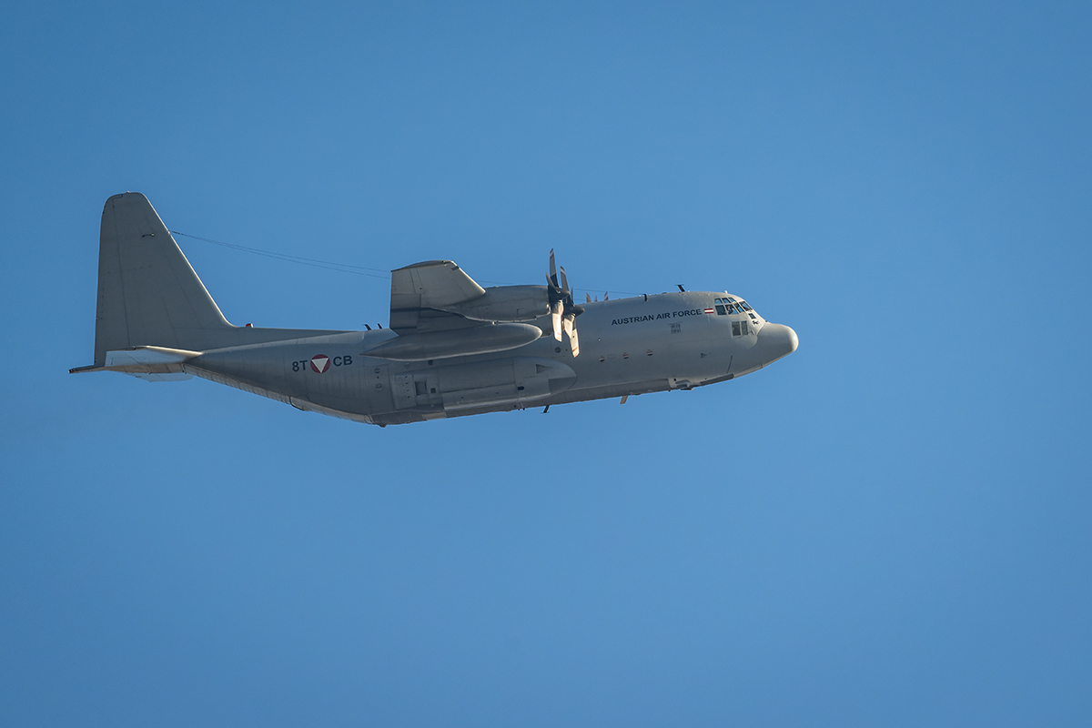 20230125_NZ9_2868_DPNF.jpg
