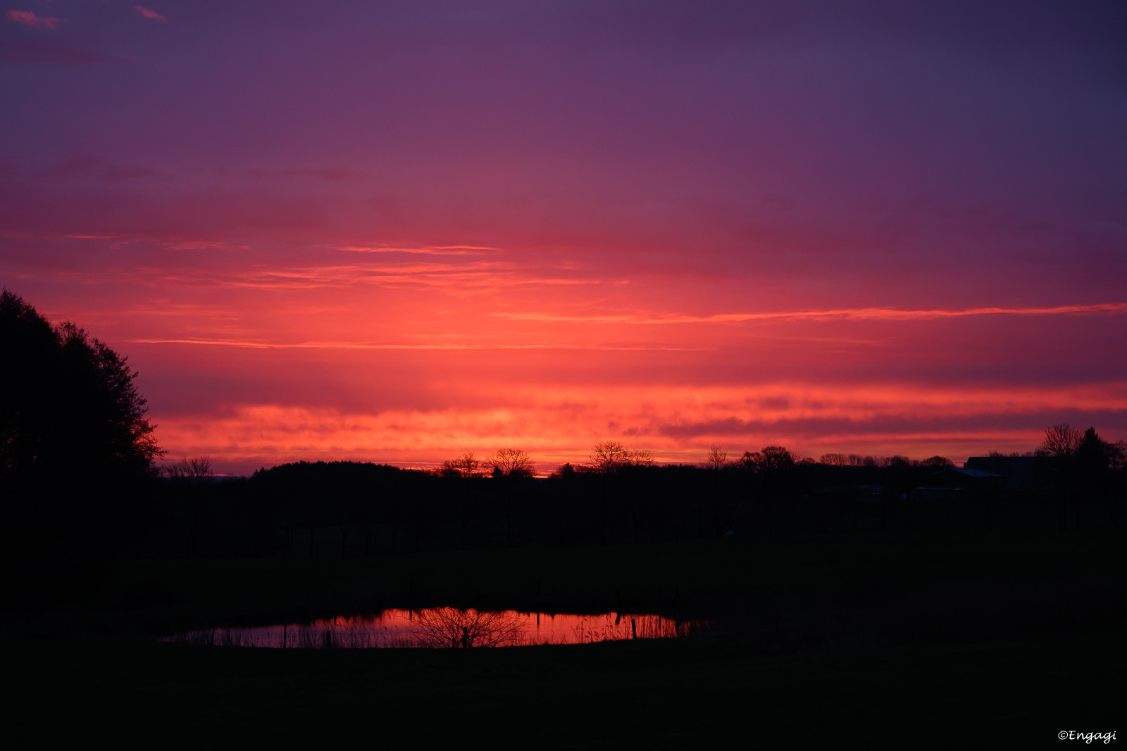 DSC_9703.jpg