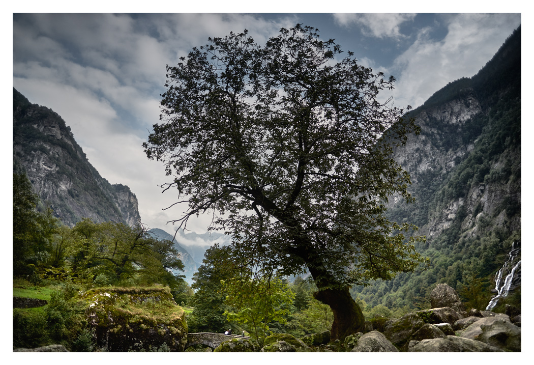 Tessin_2015_8.jpg