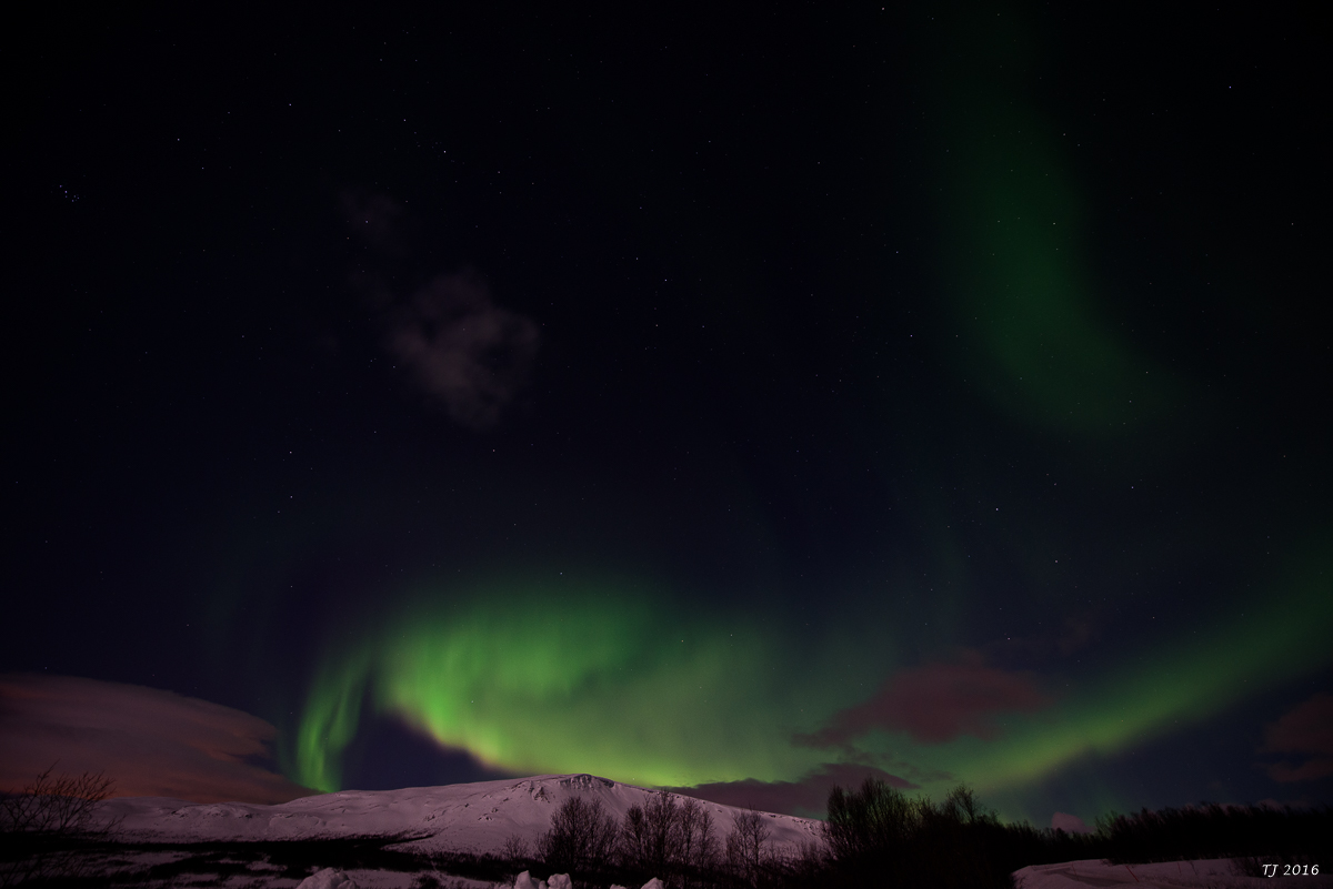 DSC_2632.jpg