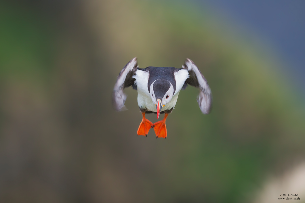 20140513_0030_PS_1200Px.jpg