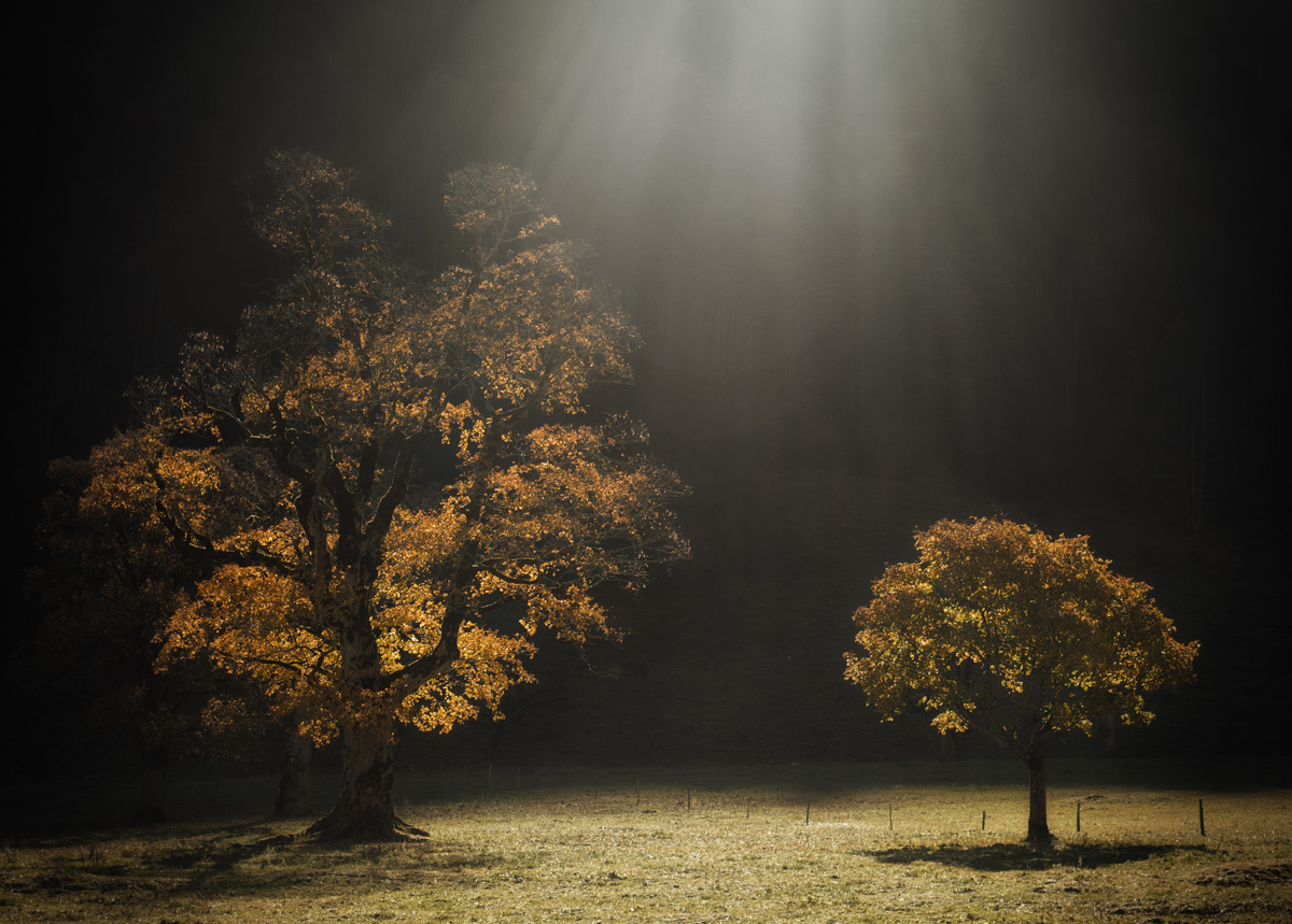 1-Alpen-Herbst-2017-Eng-CS-23a.jpg
