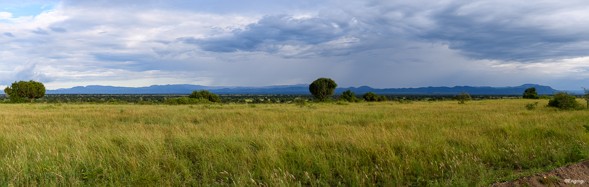 Uganda%201449.jpg