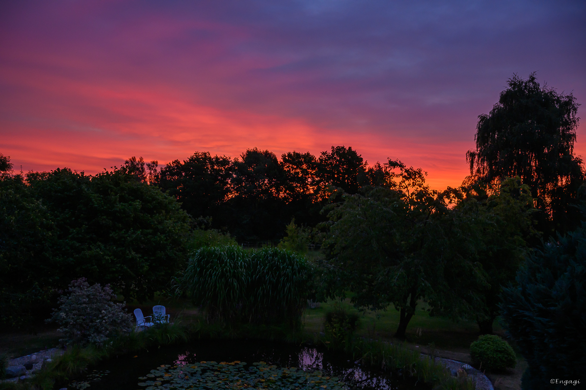 DSC_3219.jpg