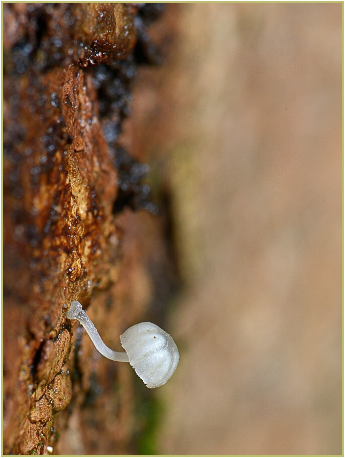 49134503pa.jpg