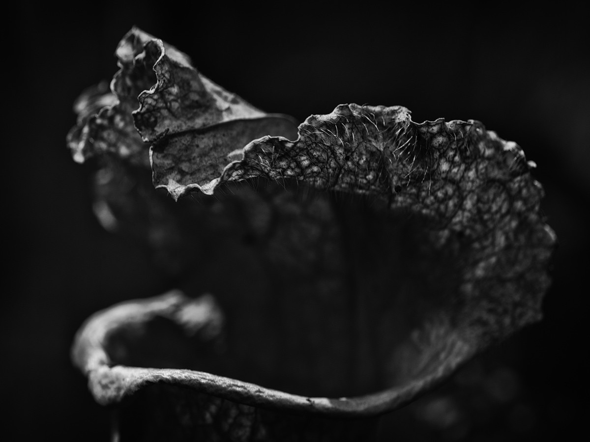ErlBot180603-03a.jpg