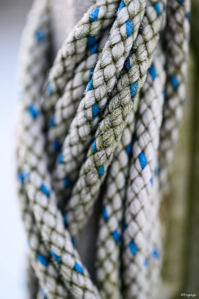 DSC_0034.jpg