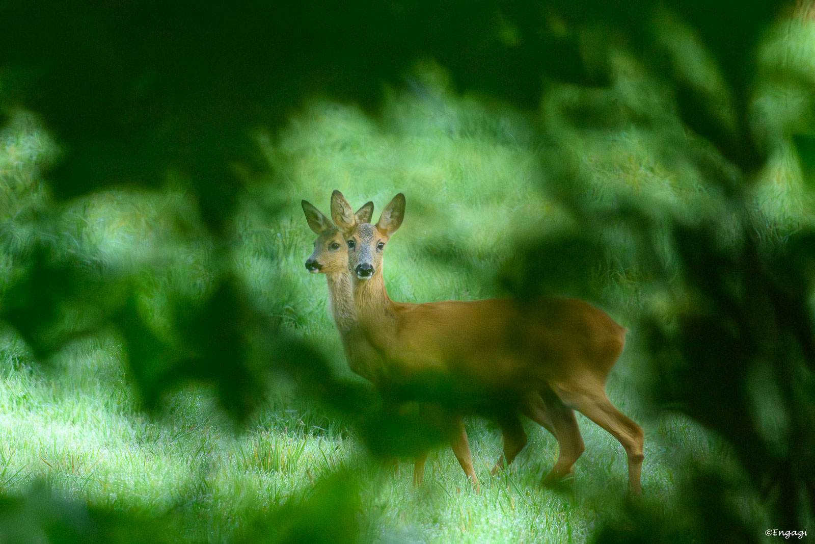 DSC_5038.jpg