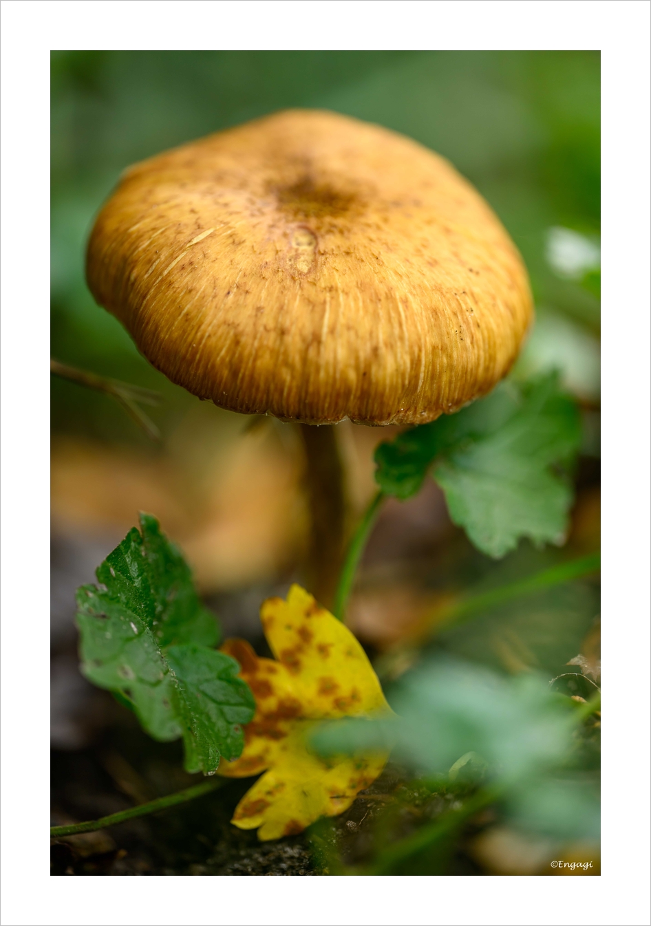 DSC_5749.jpg