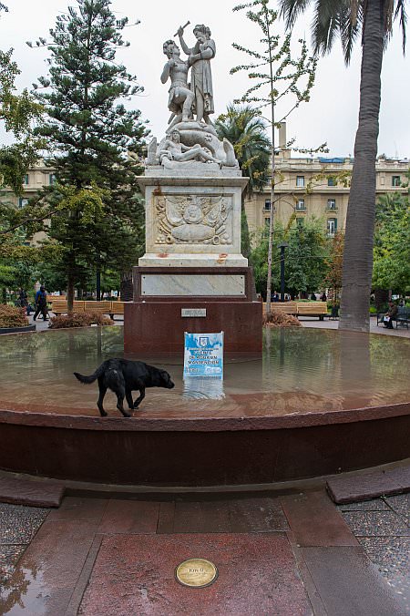 santiago16_59.jpg