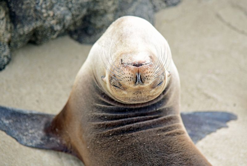 d75_9715.jpg