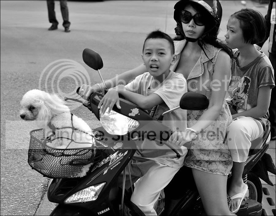 comp_Street-Bike1rahmen-1.jpg