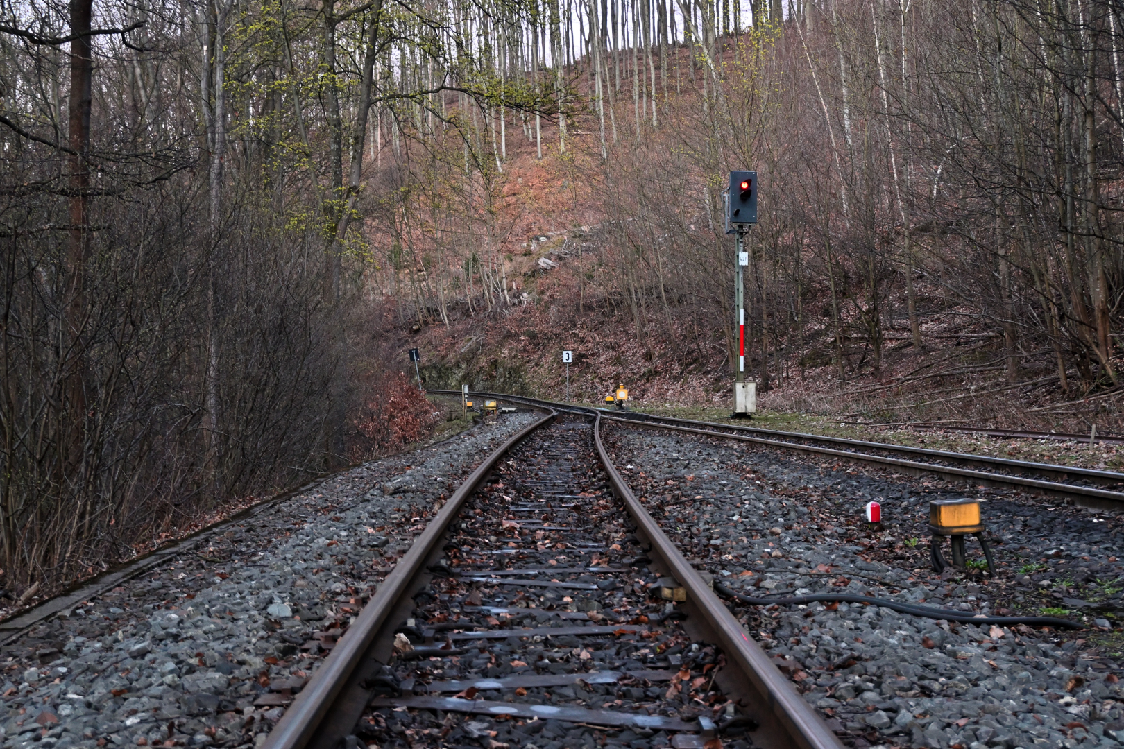 20260407-201011.jpg