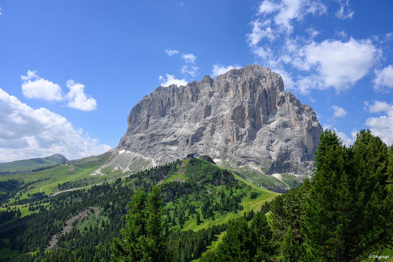 DSC_4638.jpg