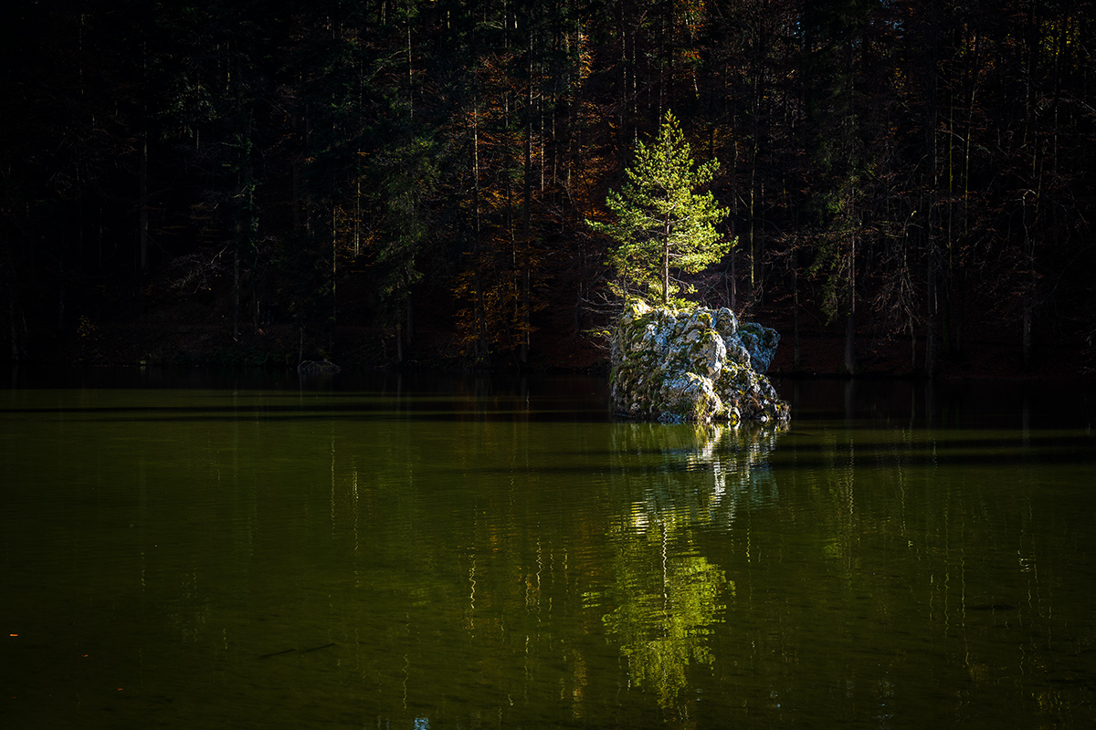 20201107_NZ7_1335NF.jpg