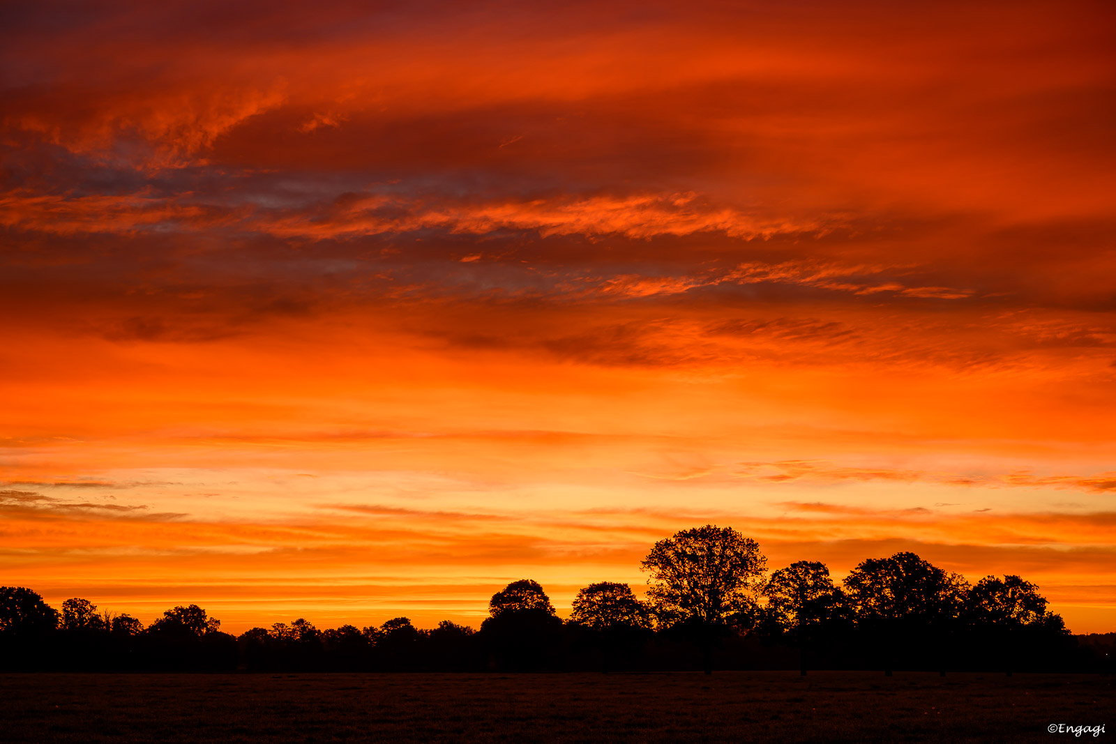 DSC_8717.jpg