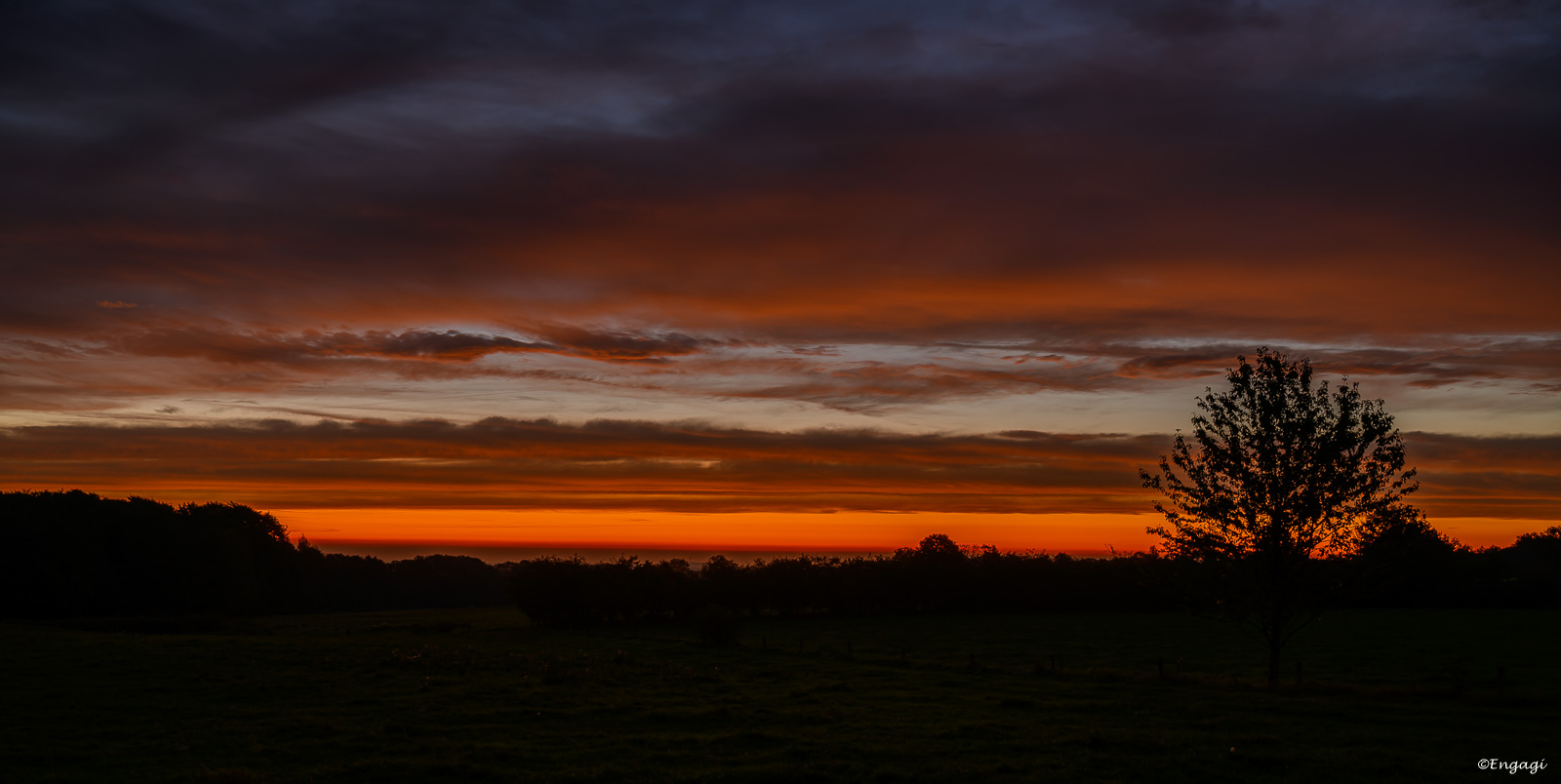 DSC_8704.jpg