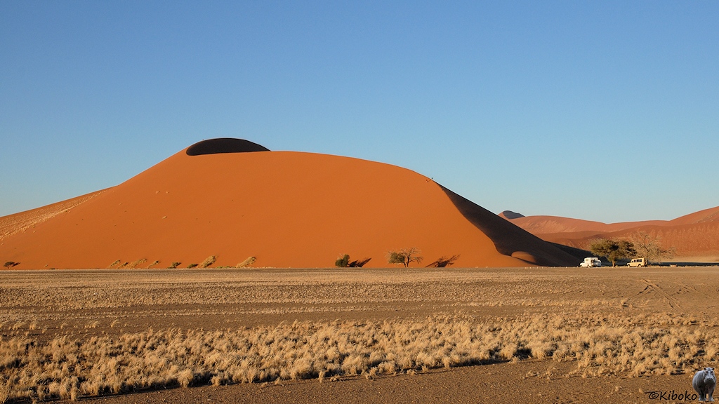 Eine orangefarbene Düne erhebt sich aus einer Ebene mit trockenem Gras. Vor der Dühne stehen zwei Geländewagen.