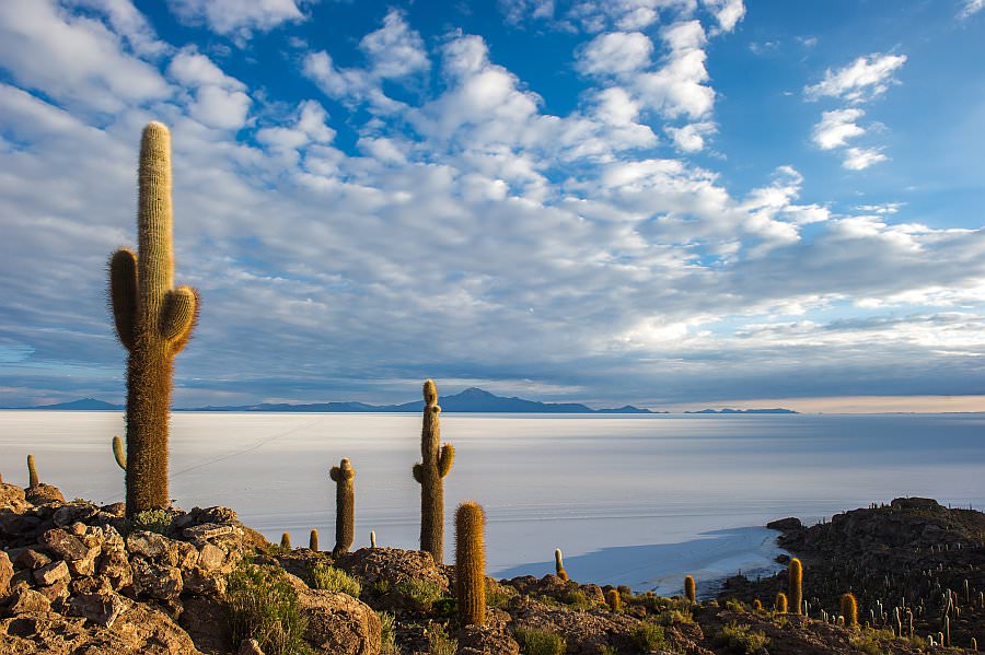atacama16_053.jpg