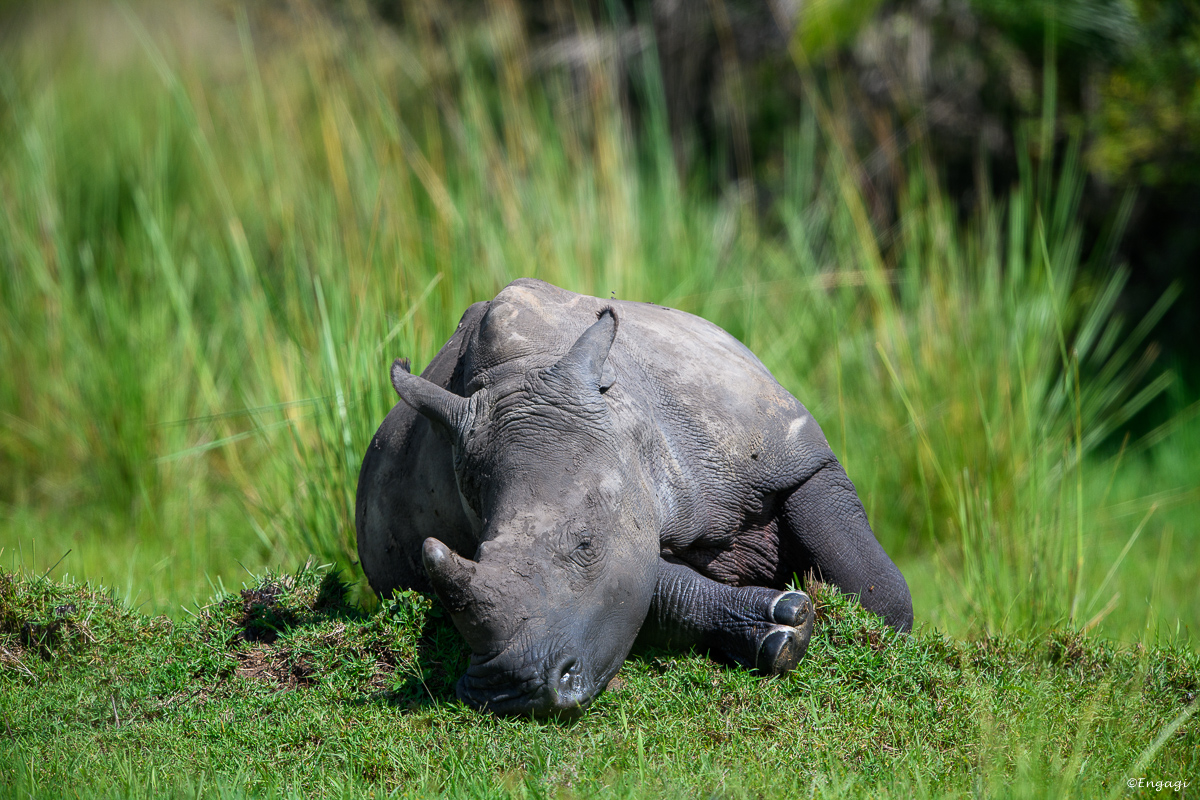 Uganda%200083.jpg