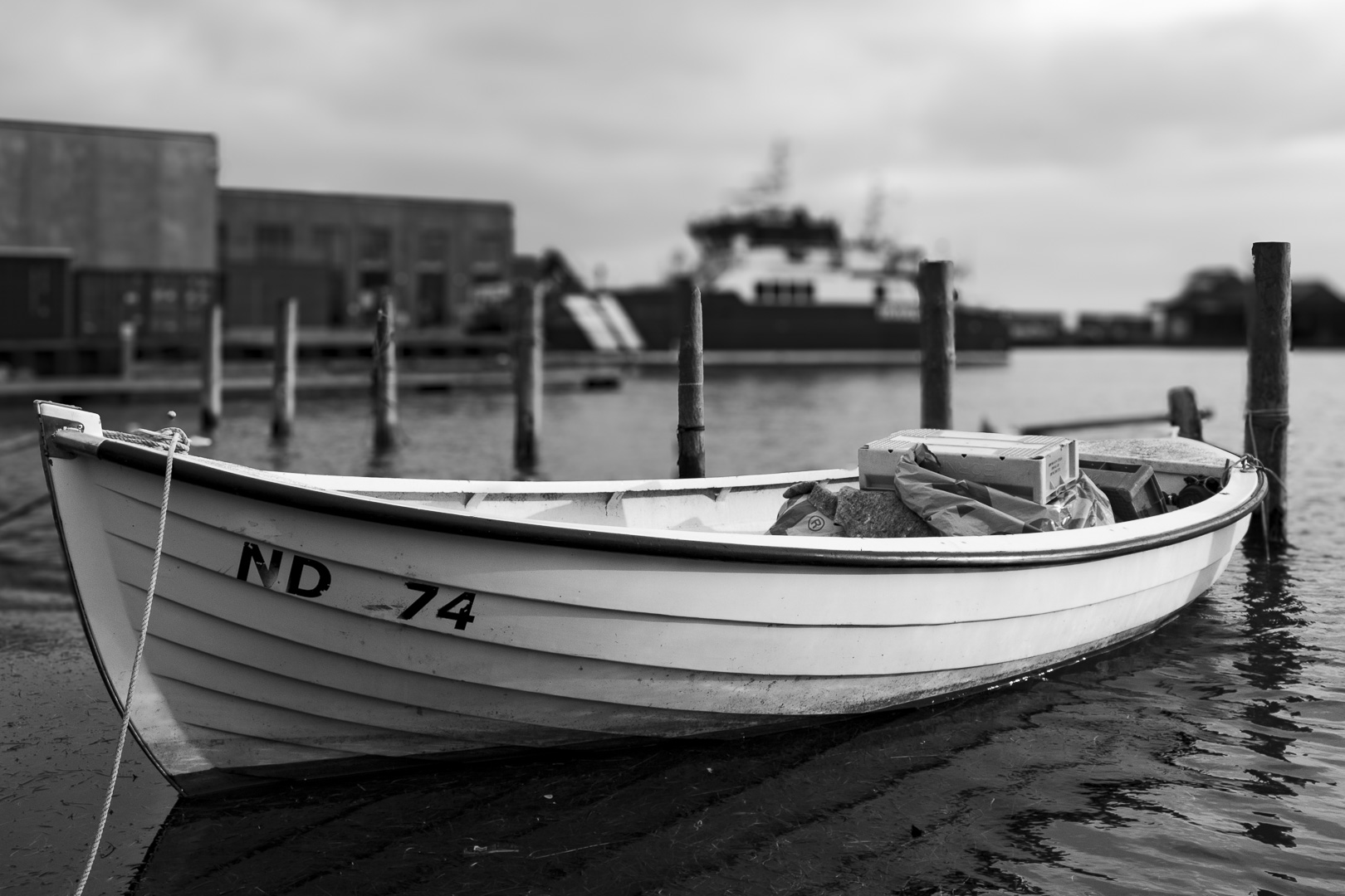 20250210-153020bw-2k.jpg