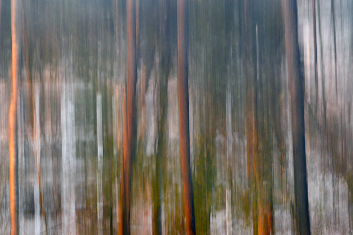 20150419_0468_PS_1200Px.jpg