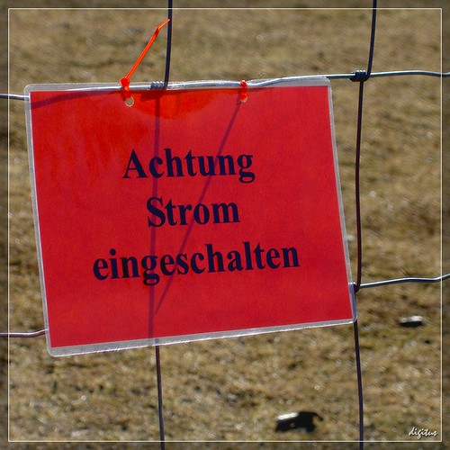 2271475563_500efa7059.jpg