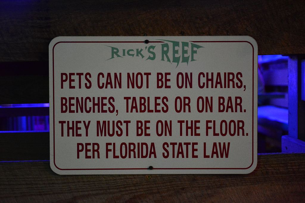 pets.jpg