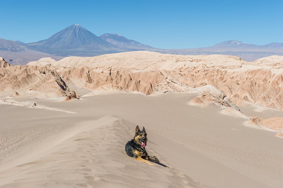 atacama16_129.jpg