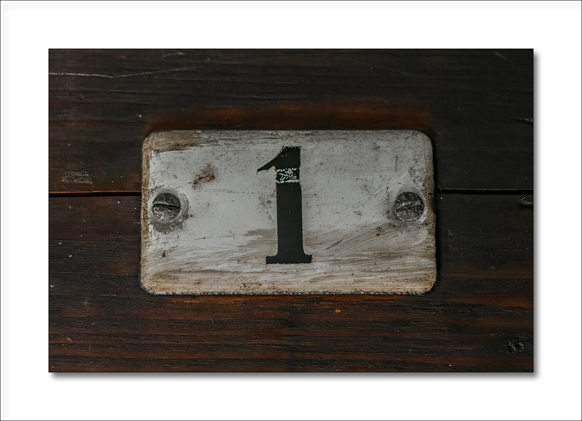 20250319_NZ8_0060_DPNF.jpg