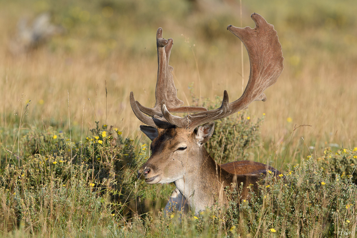 DSC_2422.jpg