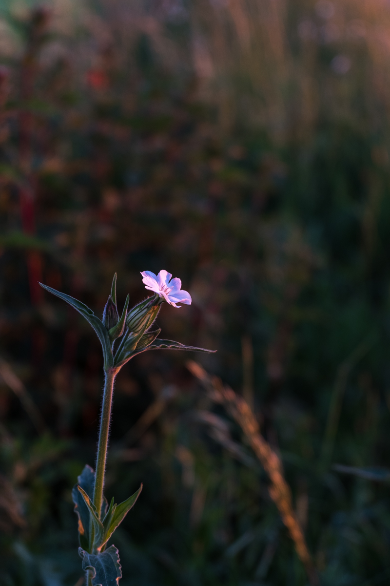 XT-20_93.jpg