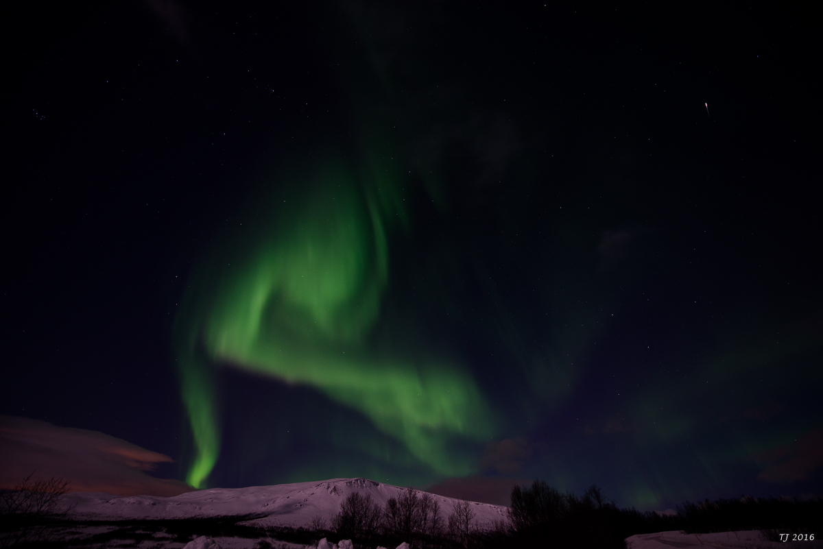 DSC_2616.jpg
