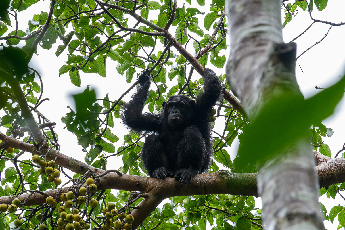 Uganda%200802.jpg