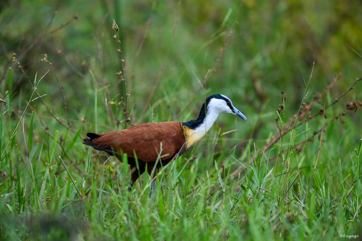 Uganda%200638.jpg
