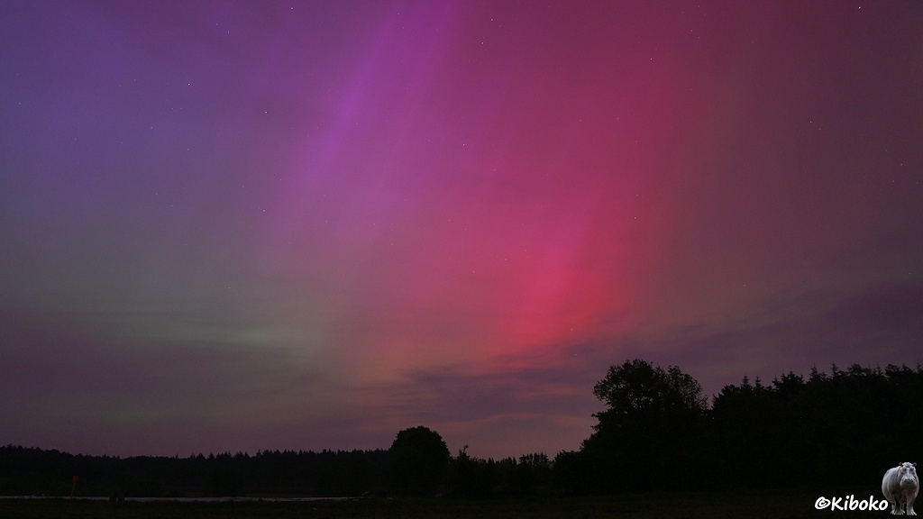 Das Bild zeigt eine Landschaft über der dunkelviolette, lila, rosarote und grün Flecken am Himmel sichtbar sind. Sterne schauen zwischen den Polarlichtern vom Himmel.