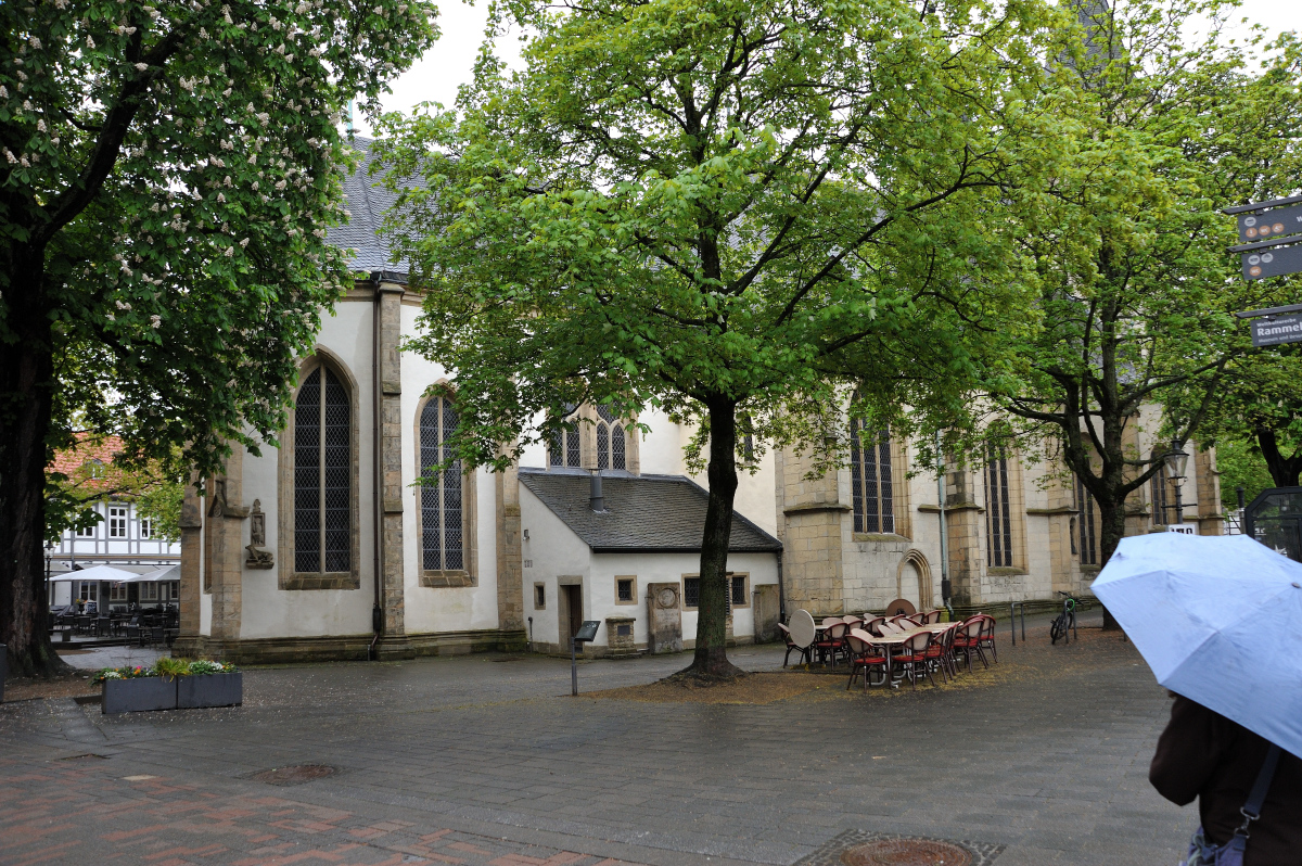 DSE_6396.JPG