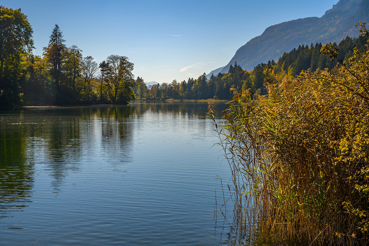 20211018_NZ7_1498NF.jpg
