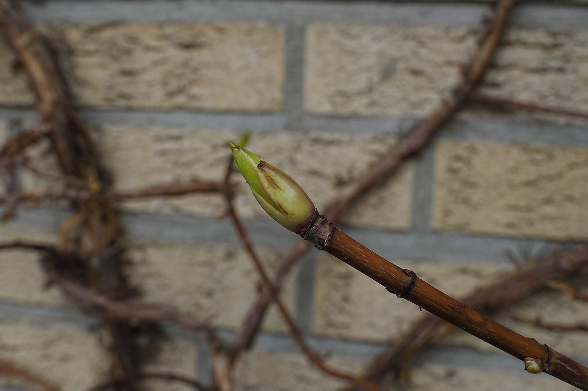 full