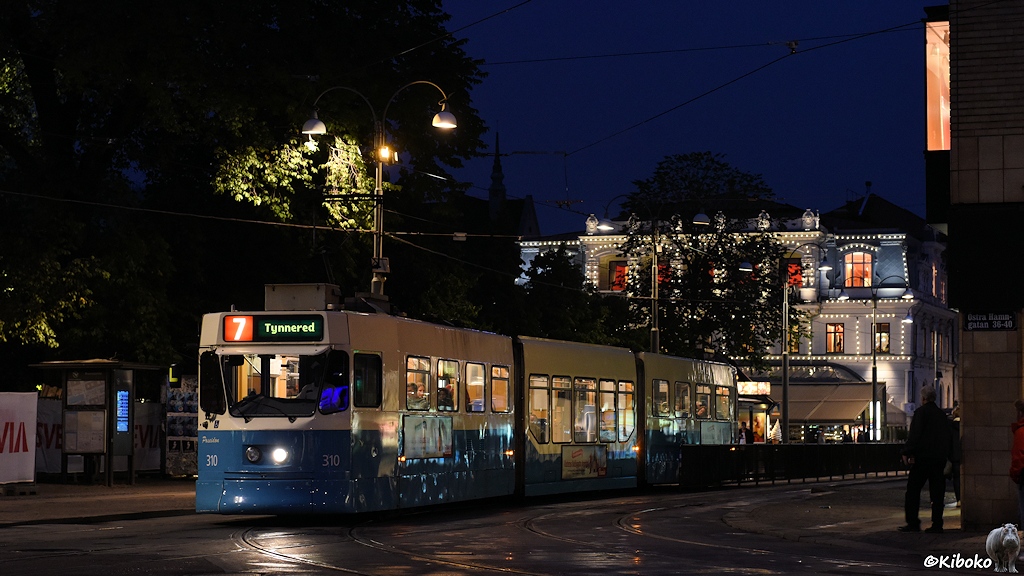 Das Bild zeigt eine dreiteilige Straßenbahn mit Niederflurmittelteil am späten Abend. Der Himmel ist beeits dunkelblau. Die Straßenlaternen sind an. Im Hintergrund ist wieder das mit Glühlampen geschmückte Haus.