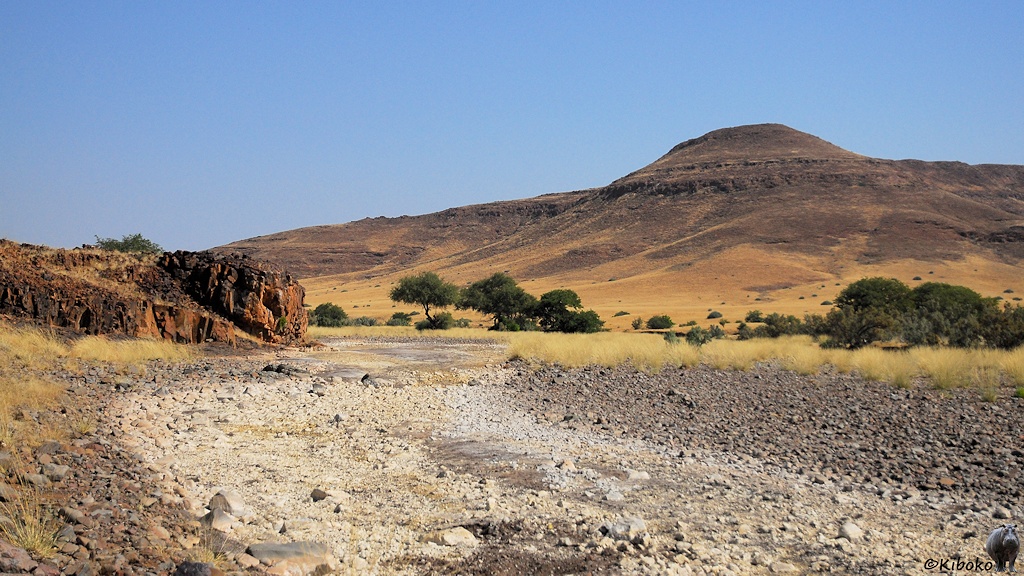 Ausgetrockneter Fluß mit hellem Steinen im Flußbett. Im Hintergrund sind Felsen, Bäume und Berge zu sehen.