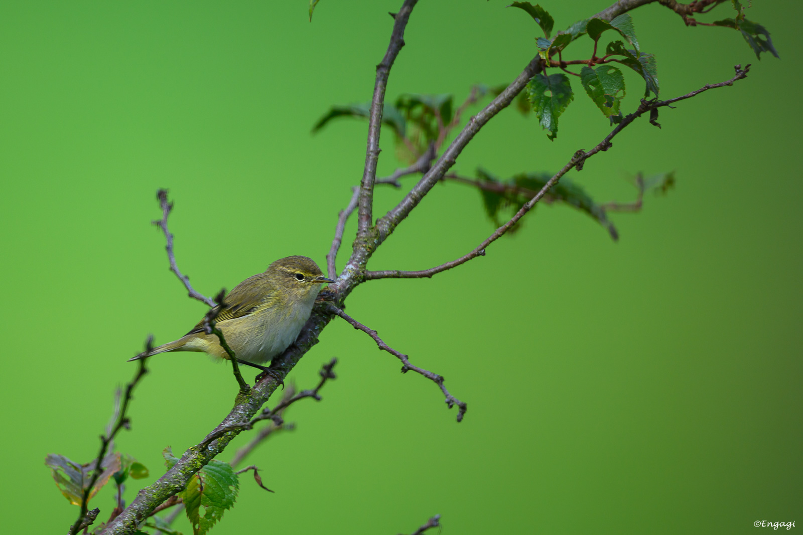DSC_2353.jpg