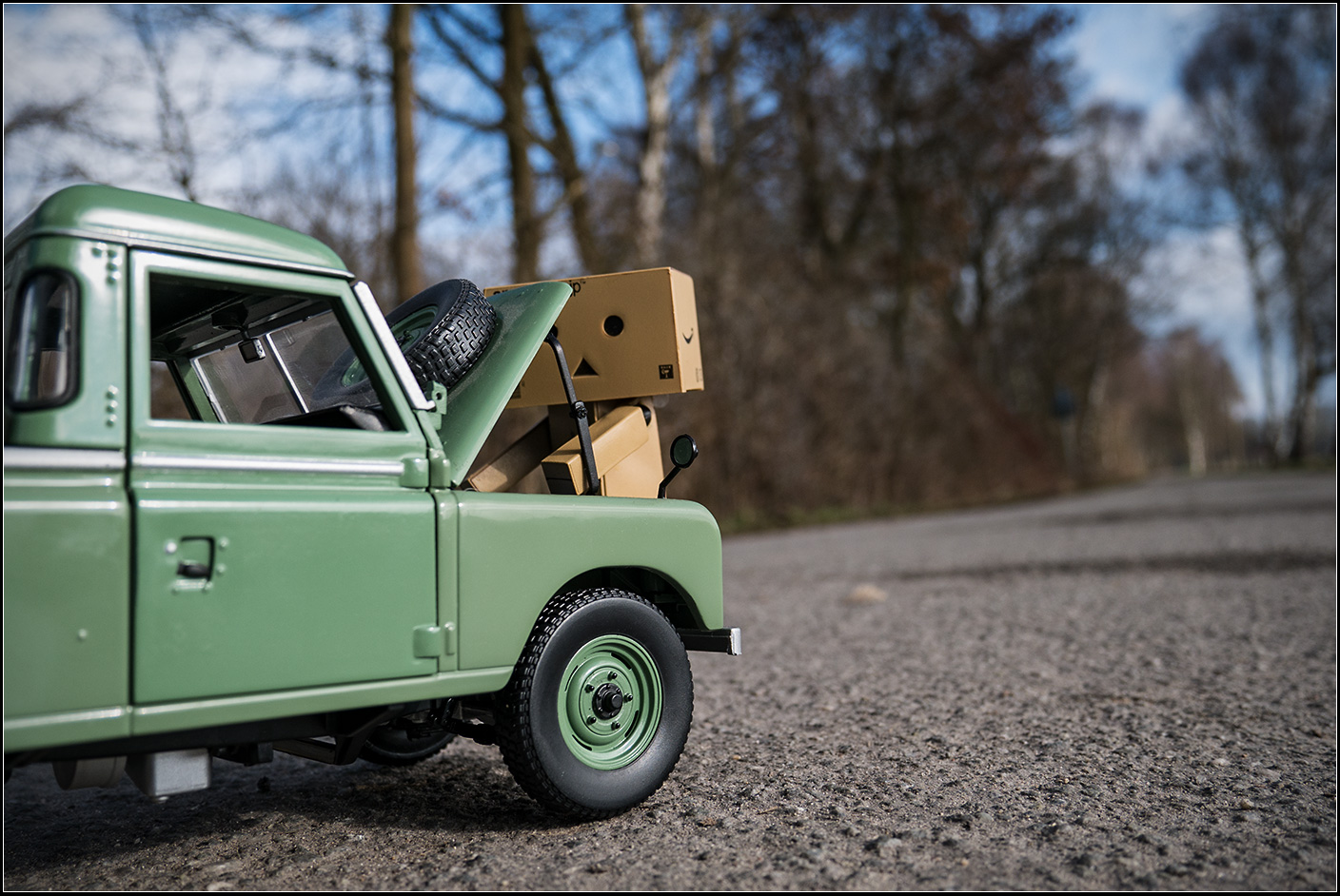 danbo03.jpg