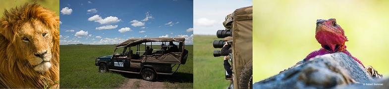 k_Header_Fotoreise_Suedafrika.jpg