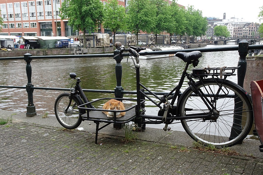 amsterdam16_37.jpg