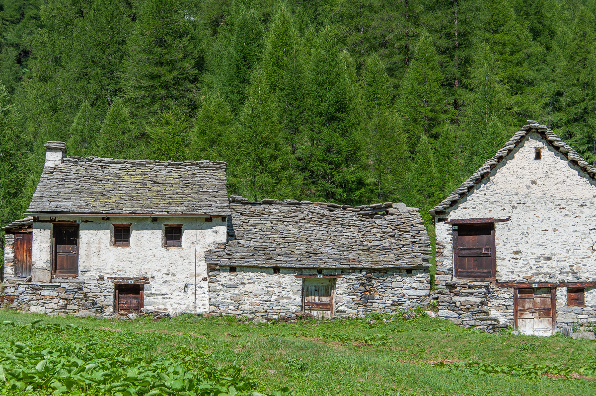 _DSC0811.jpg