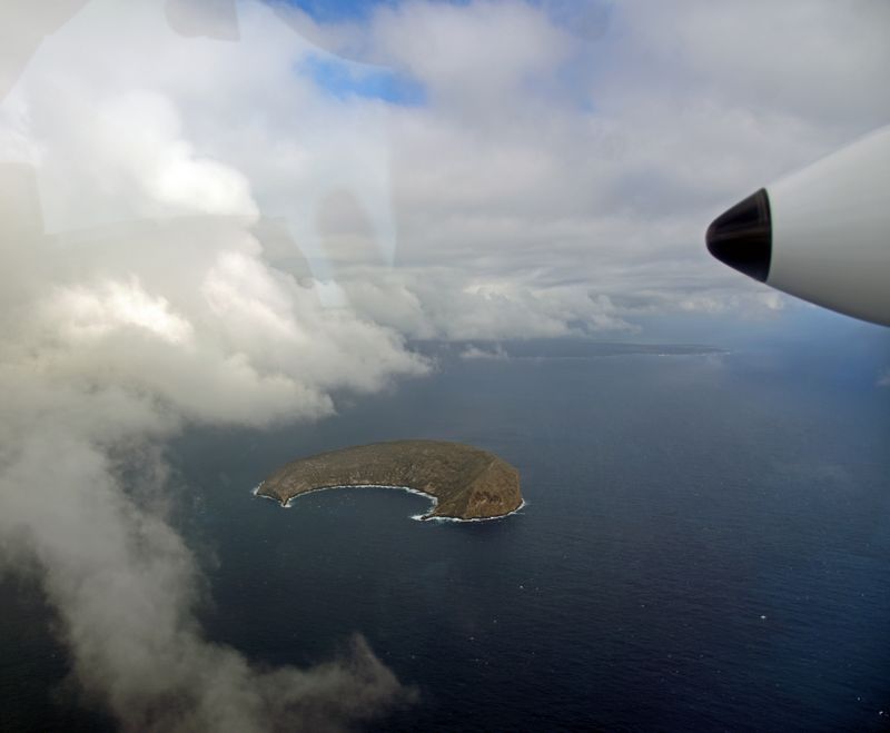 d75_8905.jpg